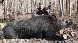 美国猎人捕获巨大野猪