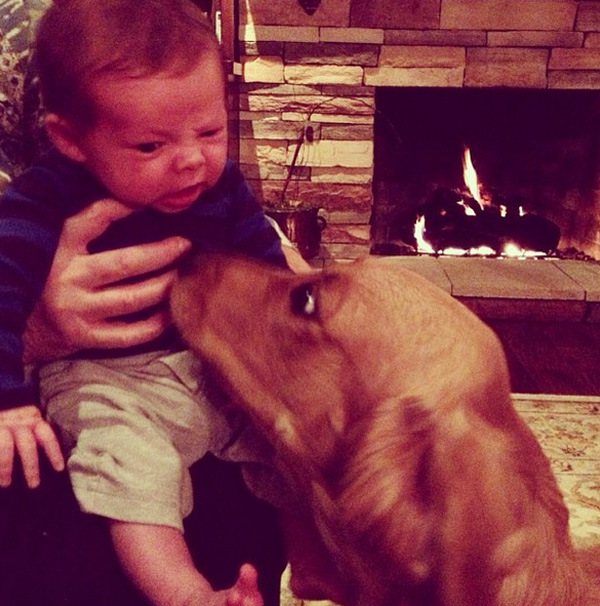 宝贝们与狗的第一次亲密接触 超可爱瞬间
