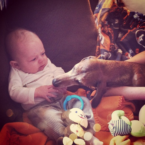 宝贝们与狗的第一次亲密接触 超可爱瞬间
