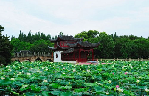 上海好玩的景点排行榜