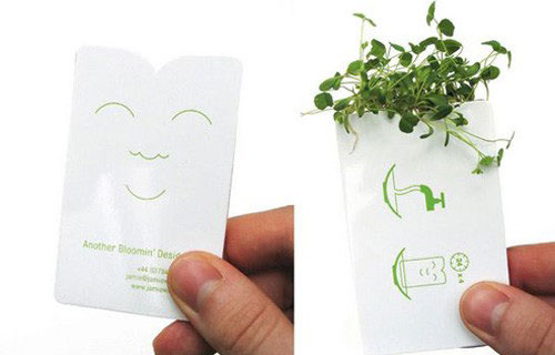 生活中9个有趣的绿植创意设计！