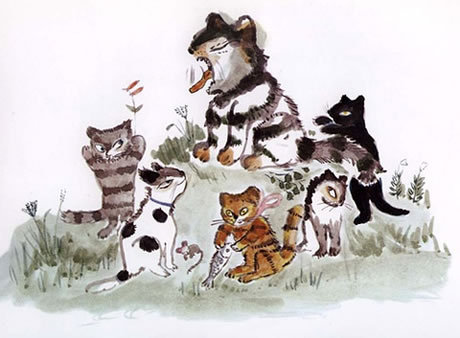 一只活了一百万次的神奇猫