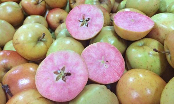 英国商店售粉红果肉的独特苹果