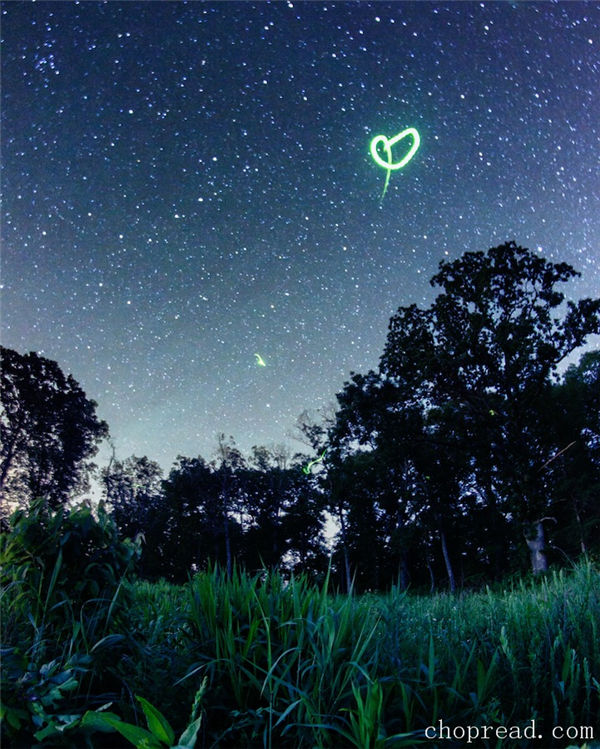 2. 夏夜宁静的夜晚加上萤火虫，美妙至极