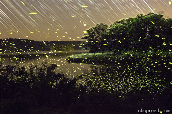 3. 萤火虫流星雨