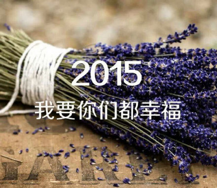 2015,许下我们心中最美好的愿望吧！