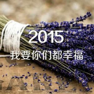 2015,许下我们心中最美好的愿望吧！