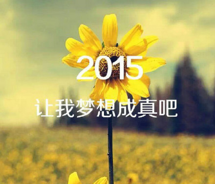 2015,许下我们心中最美好的愿望吧！