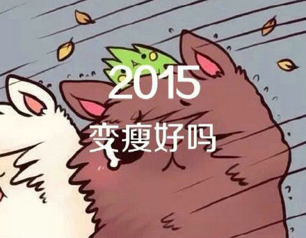 2015,许下我们心中最美好的愿望吧！