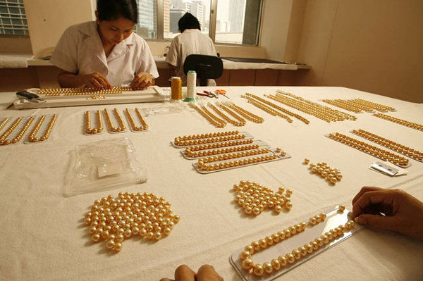 涨知识了！揭秘菲律宾黄金珍珠养殖过程