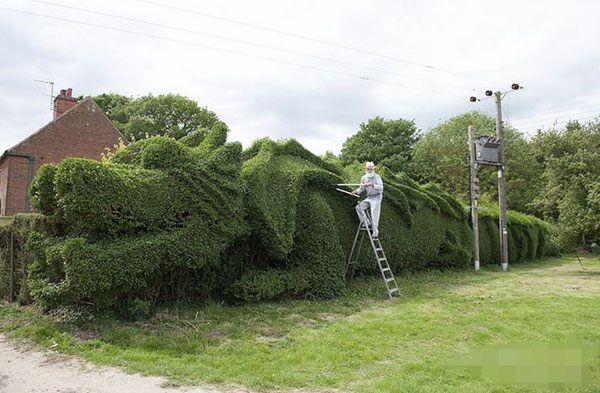 英国老头只因无聊花10年时间修剪45米的绿色龙雕塑