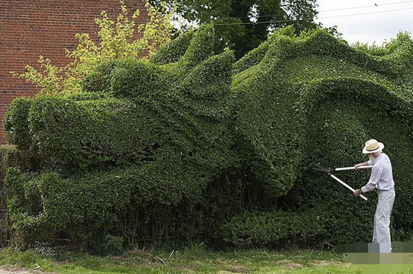 英国老头只因无聊花10年时间修剪45米的绿色龙雕塑