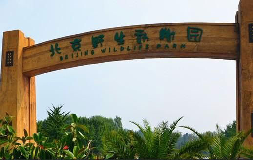 孩子们的天地：盘点中国最惊险的野生动物园