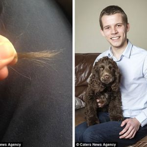 英国一男子用验孕棒检测出癌症 目前已痊愈