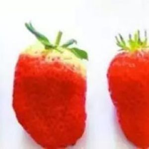 教你辨识打了激素的草莓 绝对实用！