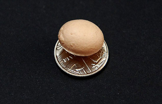 世界最小的鸡蛋 仅1.8厘米长约硬币大小