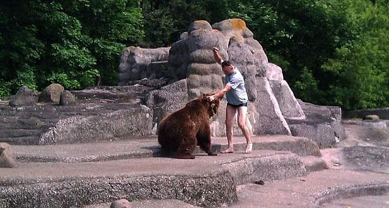 波兰动物园内一男子跳进熊山 与母熊搏斗后逃走