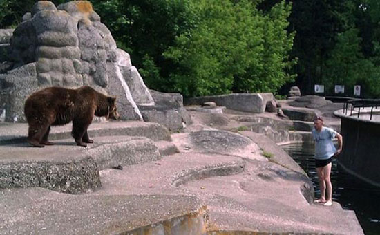 波兰动物园内一男子跳进熊山 与母熊搏斗后逃走
