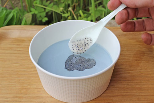 日本京都水族馆推出“蓝色蛙卵汤” 每例售价20元