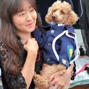 最萌警犬：日本警方邀5岁泰迪犬协助破案