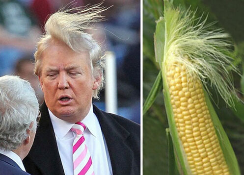 被玩坏的美总统竞选人唐纳德-特朗普 网友恶搞被吐槽的发型