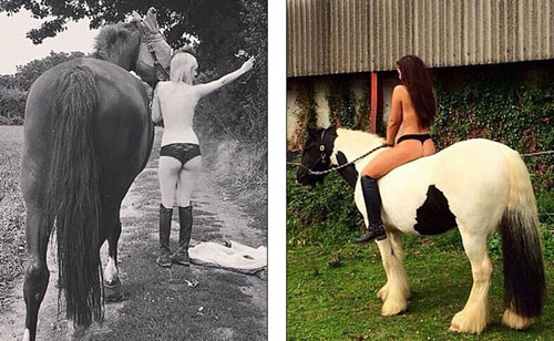 英国网上掀起晒裸体骑马照活动 呼吁司机保护动物减速慢行