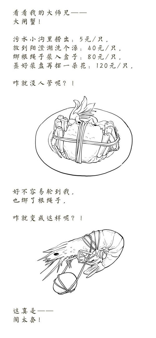 黄晓明baby办婚礼不在青岛，怕青岛大虾太贵了？