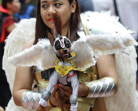 菲律宾办宠物狗时装秀 狗狗扮怪兽迎万圣节