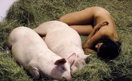 全裸美女与一群赖猪同吃睡五年 背后真相吓呆众人