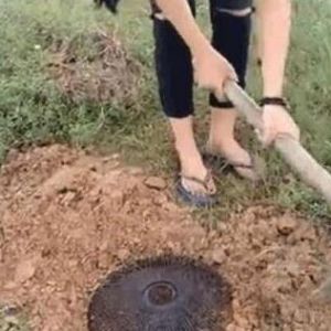 农村美女把“报废电扇”埋地里，竟有惊人发现！