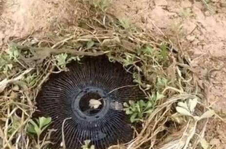 农村美女把“报废电扇”埋地里，竟有惊人发现！